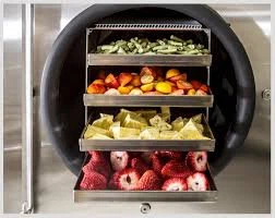 Freeze Drying in Food Processing