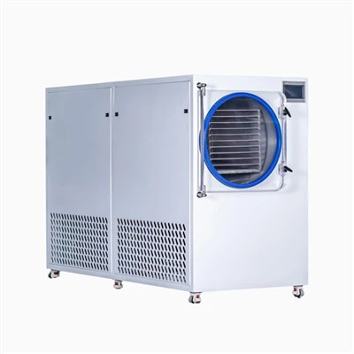 Голяма търговска сушилня за замразяване